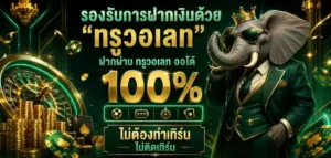 chang222 โปรโมชั่น