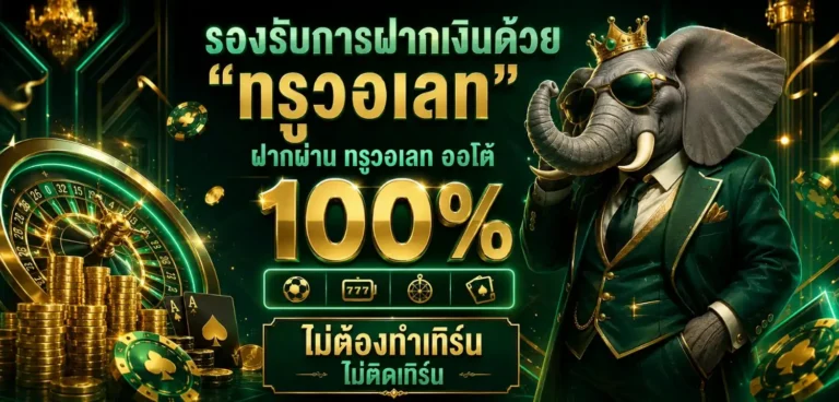 chang222 โปรโมชั่น